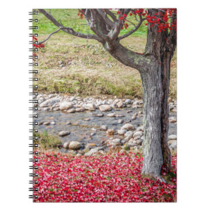 Red Autumn Tree Notebook