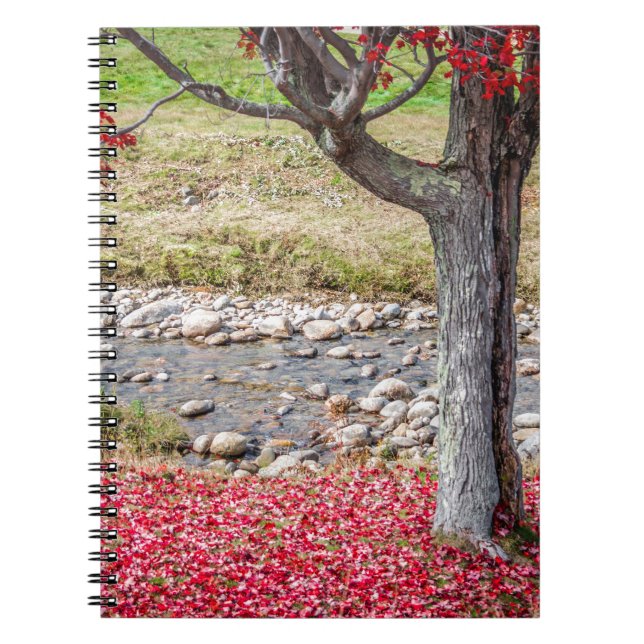 Red Autumn Tree Notebook (Front)