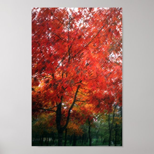 Red Autumn Tree Poster (Front)
