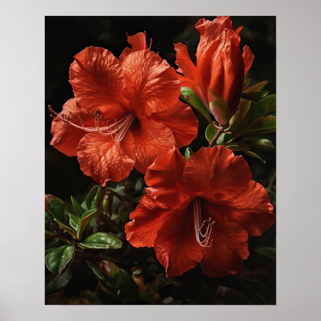 Red Azalea Flowers Art Print Poster (Front)