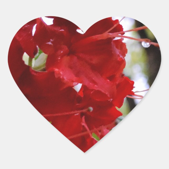 Red Azalea Flowers Heart Sticker (Front)