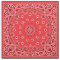 Red Bandana Fabric