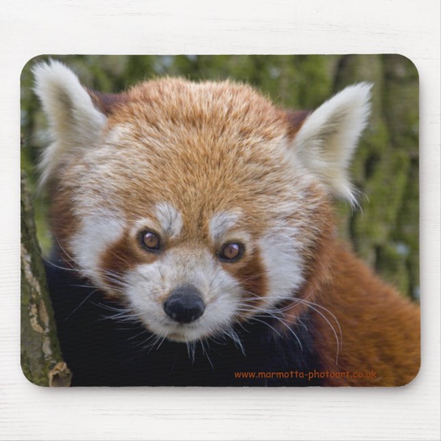Red Bandit Mouse Pad (Front)
