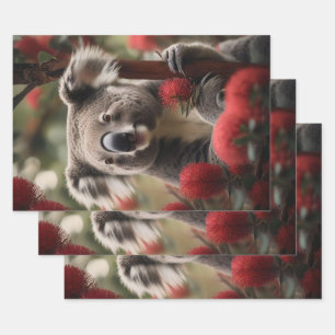 Red Banksia Tree With Koala Bear, Wrapping Paper Sheet