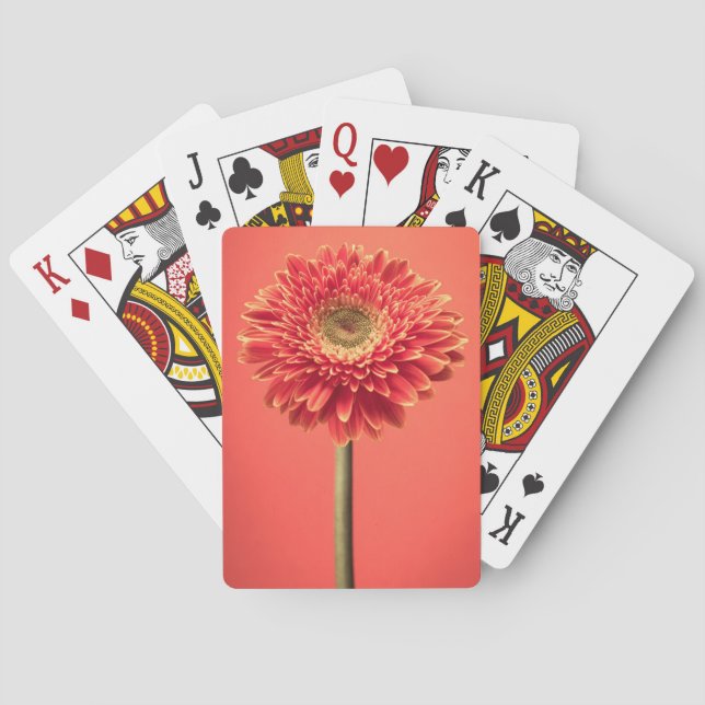 Red Barberton Gerbera Daisy Flower Playing Cards (Back)