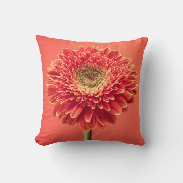 Red Barberton Gerbera Daisy Flower Throw Pillow (Front)