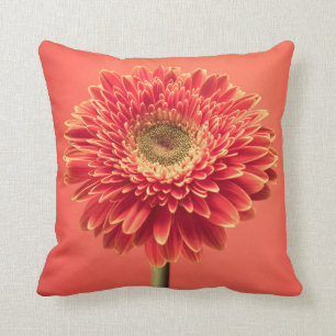 Red Barberton Gerbera Daisy Flower Throw Pillow