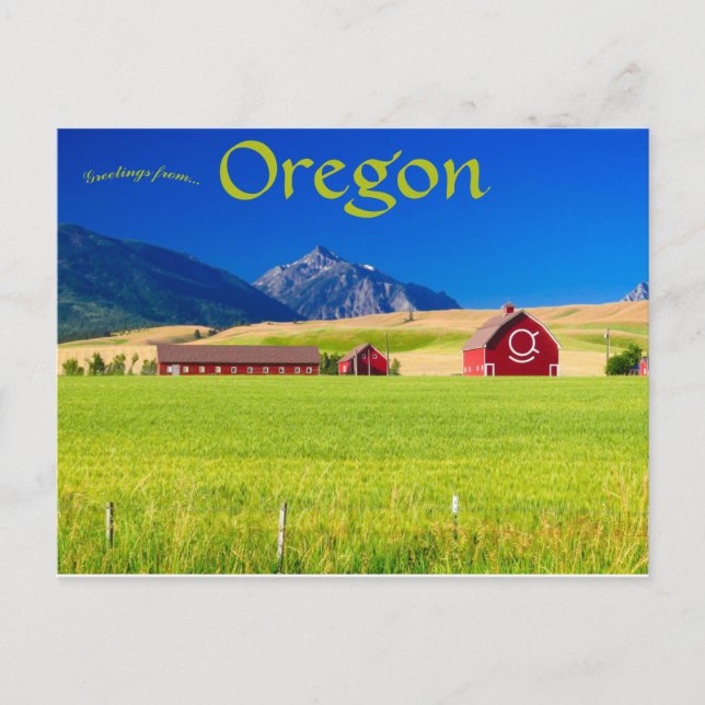 Red Barn at Wallowa-Whitman National Forest USA Postcard (Front)