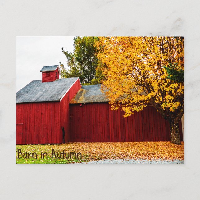 Red Barn in Autumn Postcard (Front)
