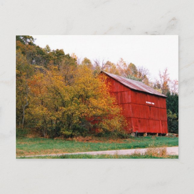 Red Barn in Fall Postcard (Front)