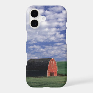 Red barn in wheat & barley field in Whitman