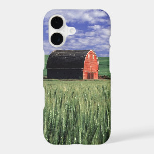 Red barn in wheat & barley field in Whitman 2