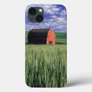 Red barn in wheat & barley field in Whitman 2 iPhone 13 Case
