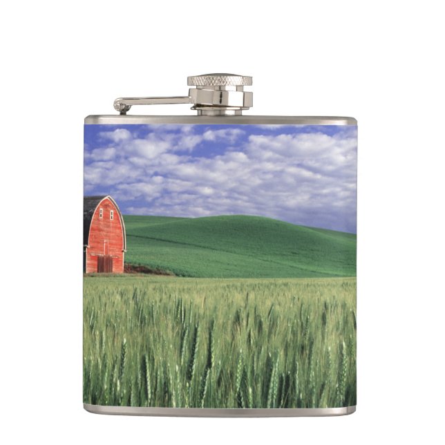 Red barn in wheat & barley field in Whitman 2 Hip Flask (Front)