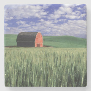 Red barn in wheat & barley field in Whitman 2 Stone Coaster