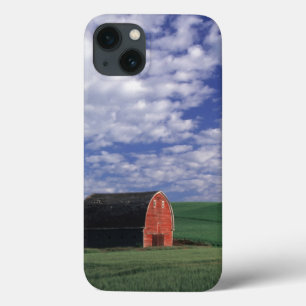 Red barn in wheat & barley field in Whitman iPhone 13 Case