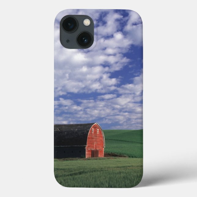Red barn in wheat & barley field in Whitman Case-Mate iPhone Case (Back)