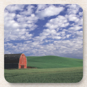 Red barn in wheat & barley field in Whitman Coaster