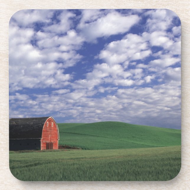 Red barn in wheat & barley field in Whitman Coaster (Front)