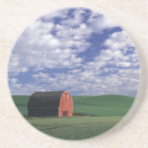 Red barn in wheat & barley field in Whitman Coaster
