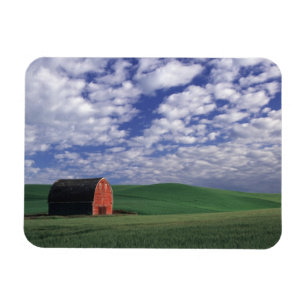 Red barn in wheat & barley field in Whitman Magnet