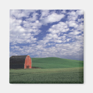 Red barn in wheat & barley field in Whitman Magnet