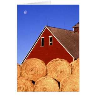 Red Barn Moon