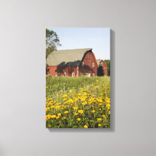 Red Barn with Yellow Wildflowers Canvas Print