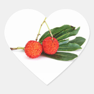 red bayberry heart sticker