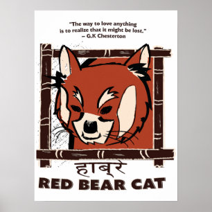 Red Bear Cat Poster