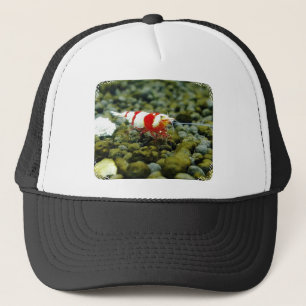 Red Bee Products & Gift shop Trucker Hat