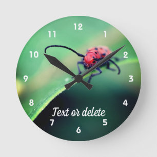 Red Beetle Insect Close Up Personalized Round Clock