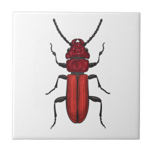 Red beetle tile