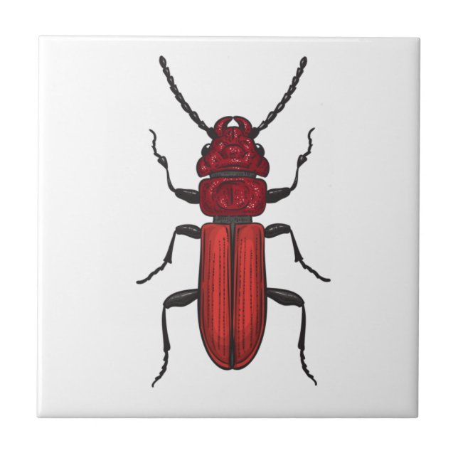 Red beetle tile (Front)