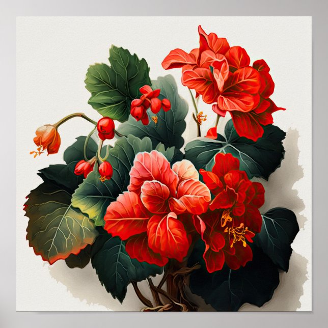 Red Begonias Flower Art Print Poster (Front)