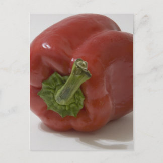 Red Bell Pepper Postcard