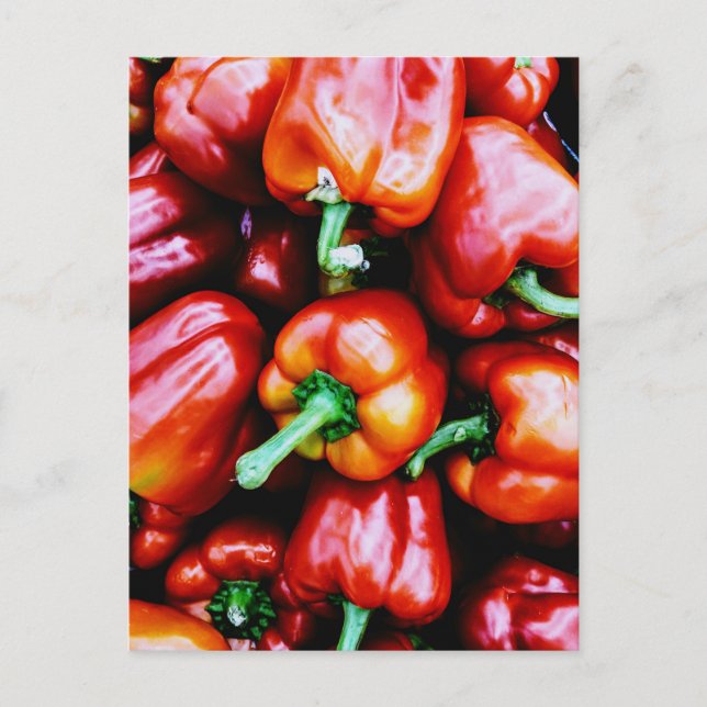 Red Bell Peppers Postcard (Front)