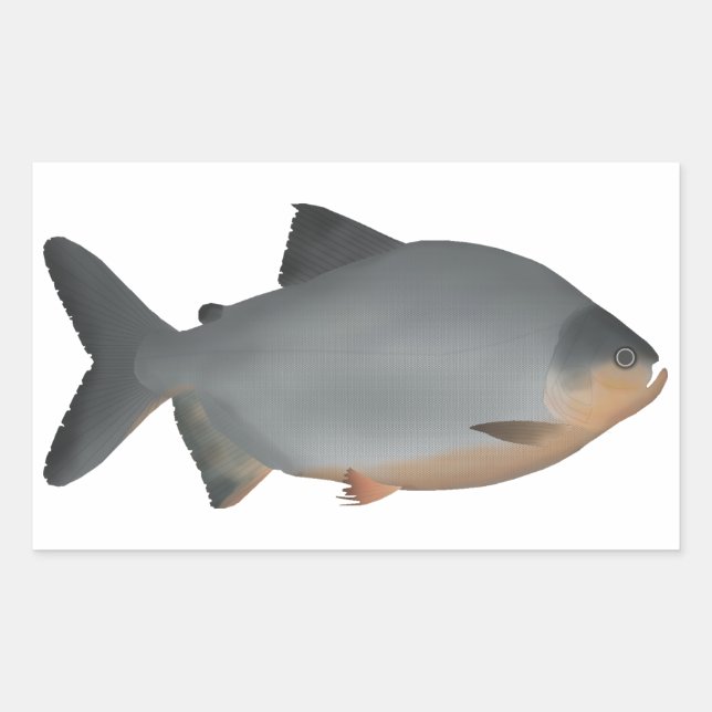 Red-bellied Pacu Sticker (Front)