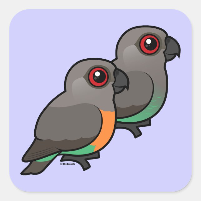 Red-bellied Parrot Pair Square Sticker (Front)