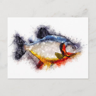 Red Bellied Piranha Watercolor monster fish art Postcard
