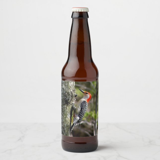 Red Bellied Woodpecker Beer Bottle Label (Front)