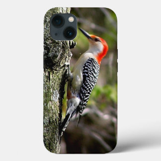 Red Bellied Woodpecker iPhone 13 Case