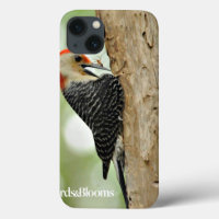 Red-Bellied Woodpecker