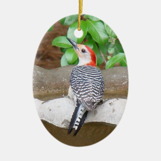 Red-bellied Woodpecker Ceramic Ornament (Front)
