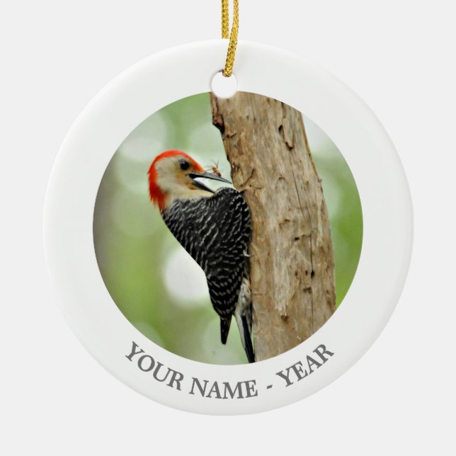 Red-Bellied Woodpecker Ceramic Ornament (Front)