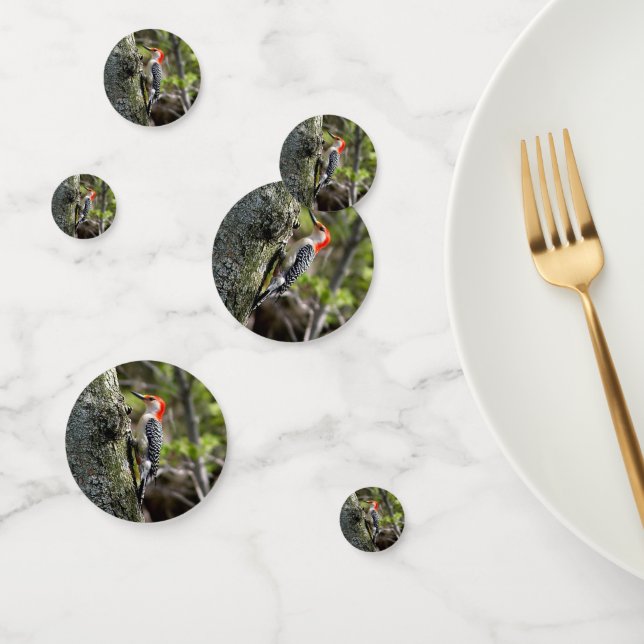 Red Bellied Woodpecker Confetti (Group)