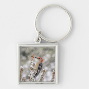 Red-bellied Woodpecker in the snow Keychain