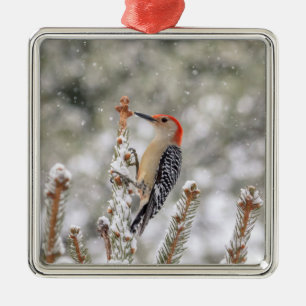 Red-bellied Woodpecker in the snow Metal Ornament