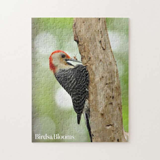 Red-Bellied Woodpecker Jigsaw Puzzle (Vertical)
