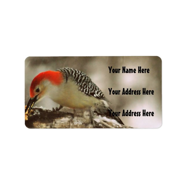 Red Bellied Woodpecker Label (Front)